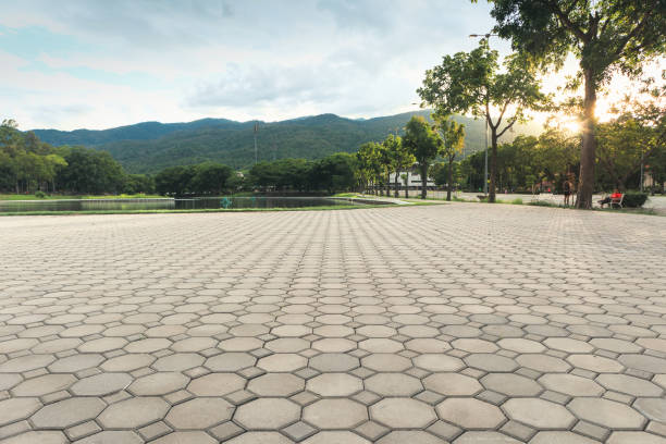 Best Custom Driveway Pavers  in Breese, IL